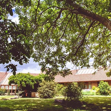 Posada Los Mimbres Gaiman Kültér fotó